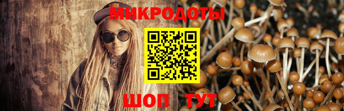 Галлюциногенные грибы Magic Shrooms  Вход с VPN  Лесозаводск 