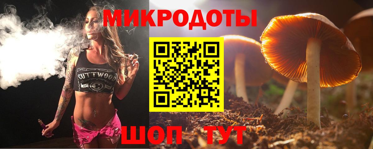 Галлюциногенные грибы GOLDEN TEACHER Лесозаводск